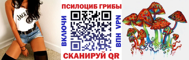 Галлюциногенные грибы Psilocybine cubensis  Бирск 